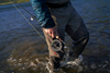 Sage ARBOR XL Fly Reel Action 4